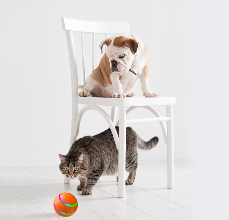 Pet New Cat Wicked Ball Toy Intelligent Ball USB